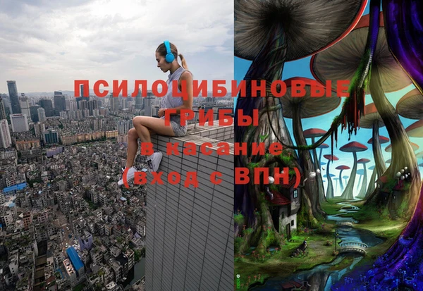 PSILOCYBIN Алексин