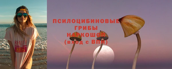PSILOCYBIN Алексин