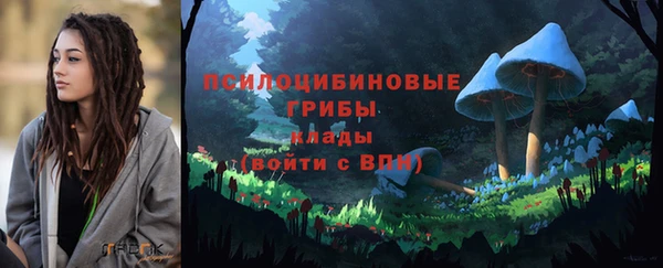 mdpv Алзамай