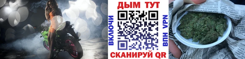 где найти MEGA маркетплейс МАРИХУАНА сатива Гдов